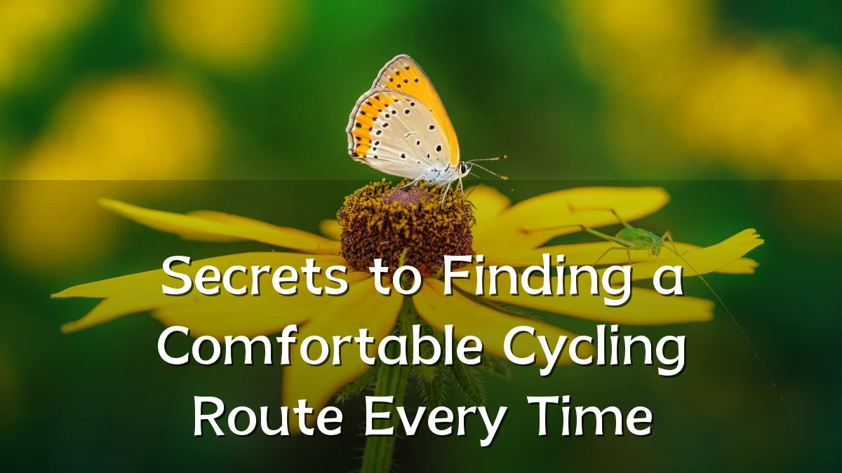 Secrets to Finding a Comfortable Cycling Route Every Time