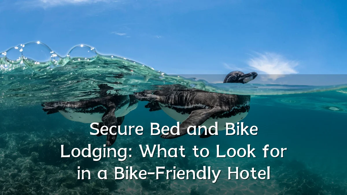 Secure Bed and Bike Lodging: What to Look for in a Bike-Friendly Hotel