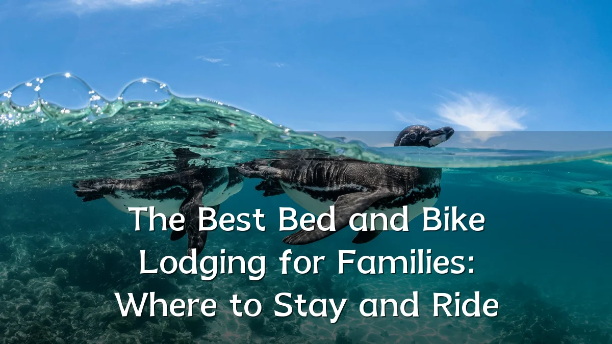 The Best Bed and Bike Lodging for Families: Where to Stay and Ride