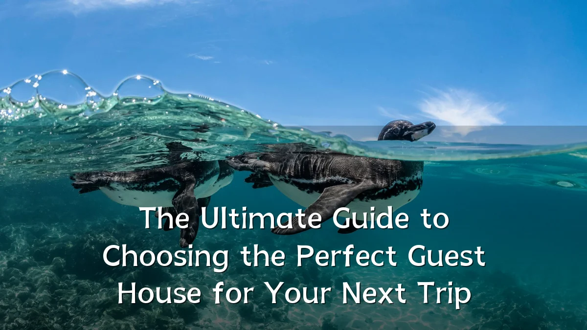 The Ultimate Guide to Choosing the Perfect Guest House for Your Next Trip