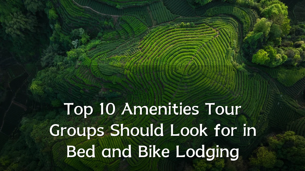 Top 10 Amenities Tour Groups Should Look for in Bed and Bike Lodging