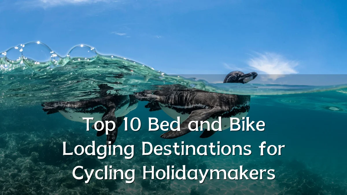 Top 10 Bed and Bike Lodging Destinations for Cycling Holidaymakers