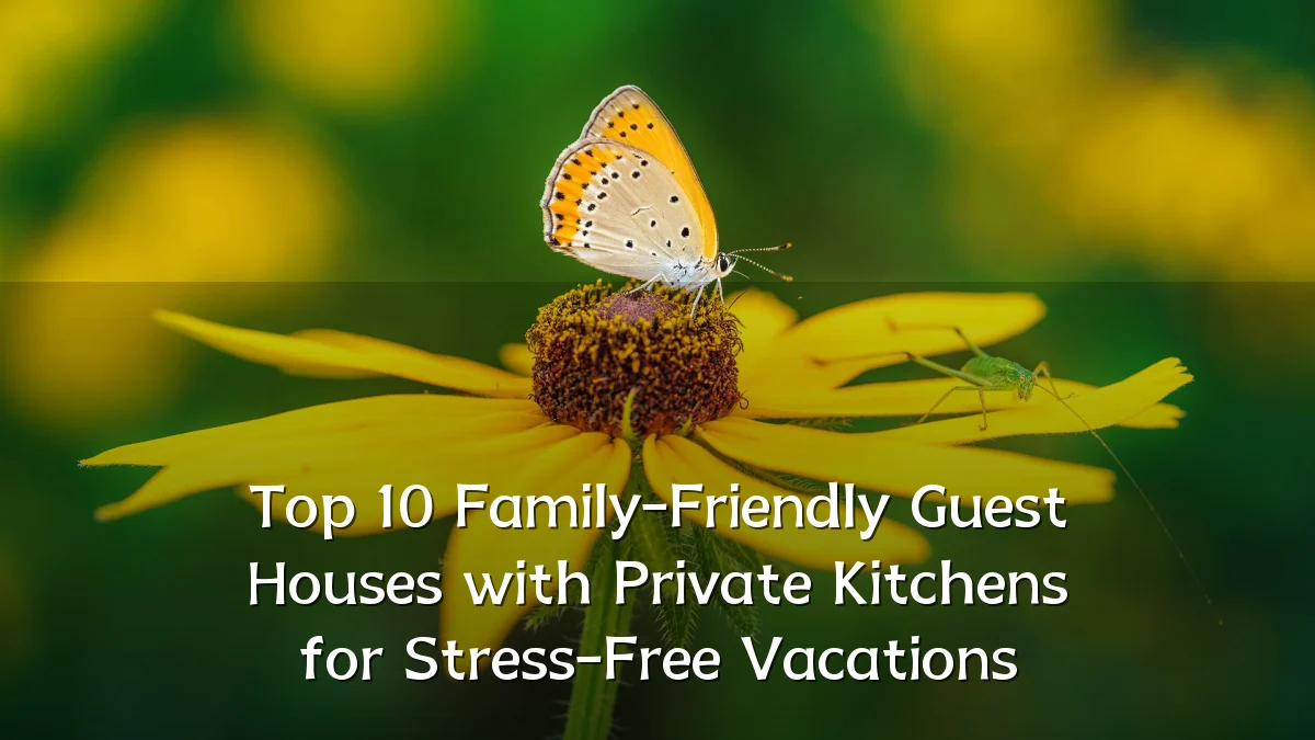 Top 10 Family-Friendly Guest Houses with Private Kitchens for Stress-Free Vacations