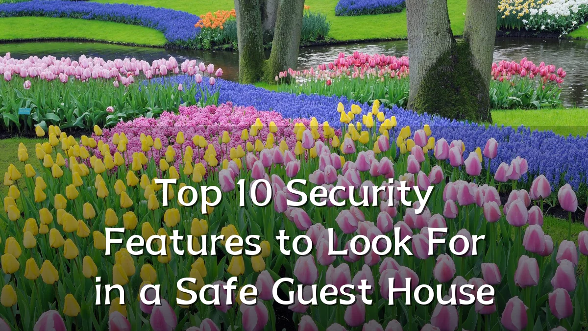 Top 10 Security Features to Look For in a Safe Guest House