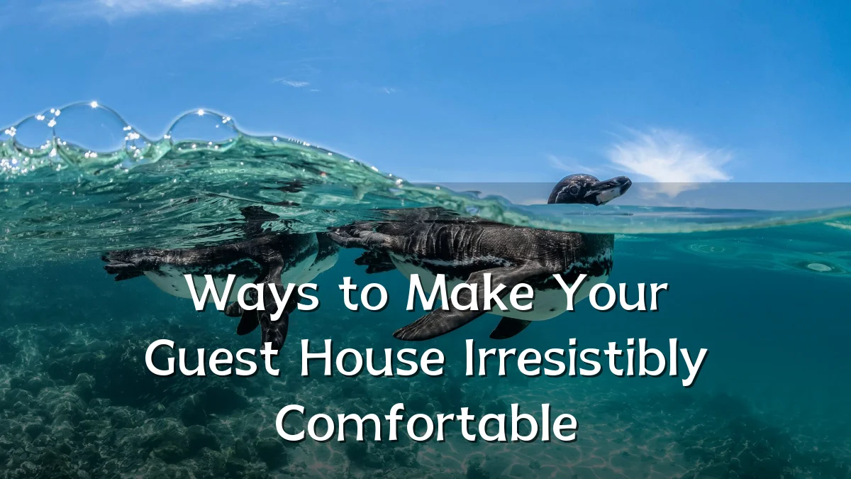 Ways to Make Your Guest House Irresistibly Comfortable