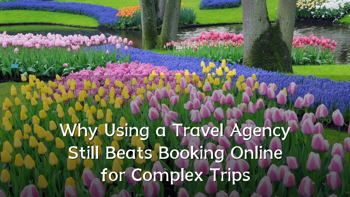 Why Using a Travel Agency Still Beats Booking Online for Complex Trips
